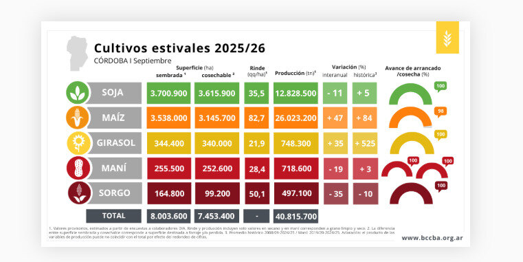 Córdoba, Campaña 2025/26
