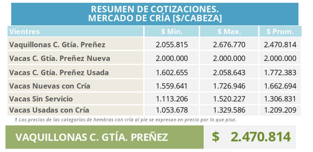 Cría
