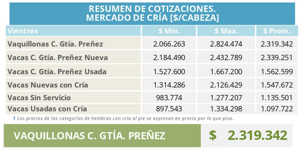 Cría