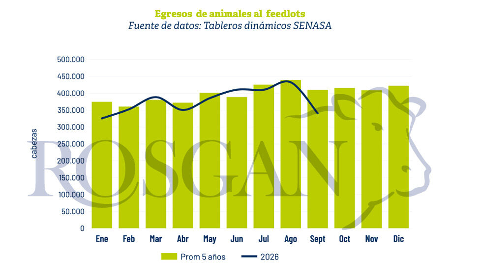 Feedlots, Septiembre 2026, Egresos