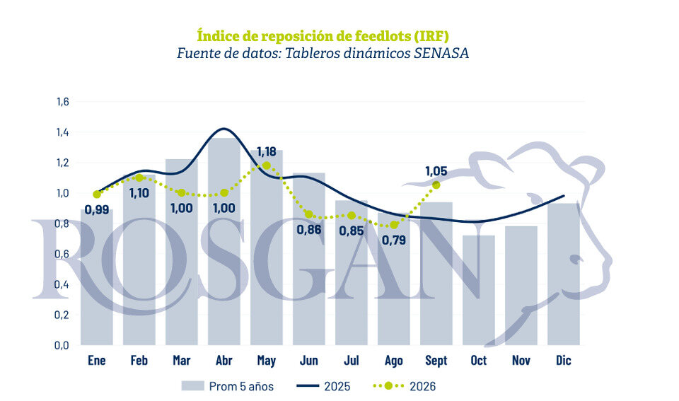Feedlots, Septiembre 2026