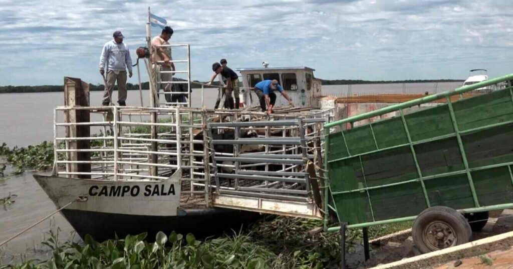Ganadería, Inundaciones, Paraná