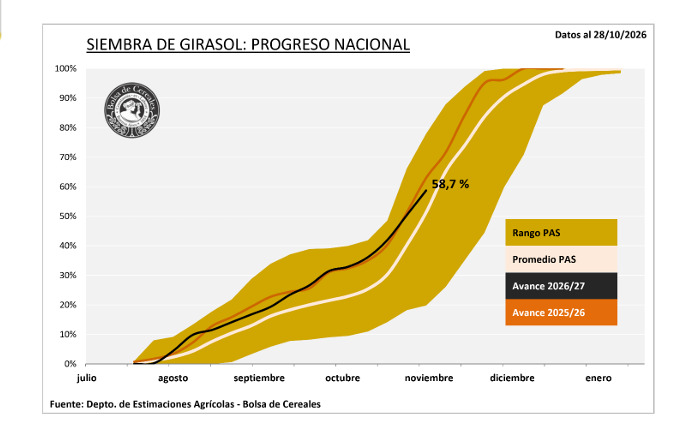 Girasol, Siembra