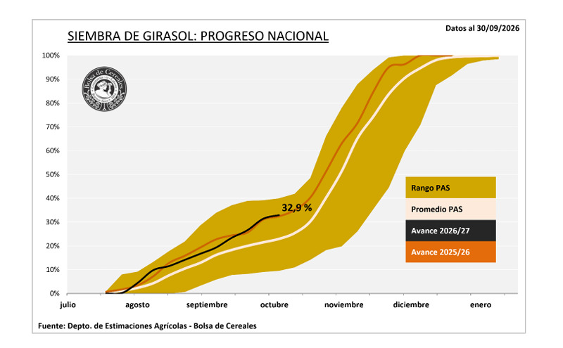 Girasol, Siembra