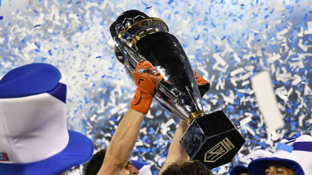 Liga Profesional, Trofeo, Copa