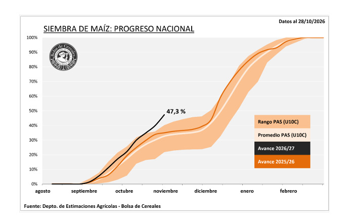 Maíz, Siembra
