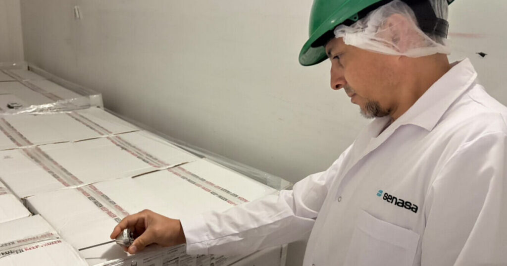 Pacú Chaqueño, Exportación, Senasa