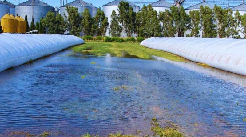 Silobolsas, El Niño