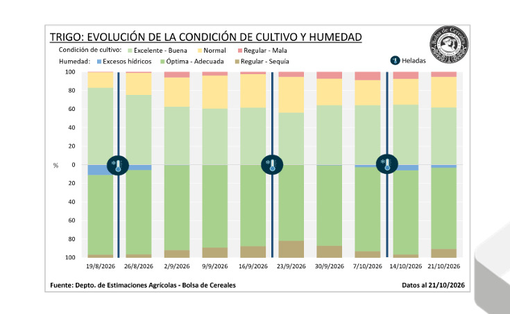 Trigo, cultivos