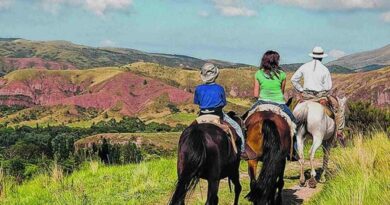 Turismo Rural, Campo, Airbnb