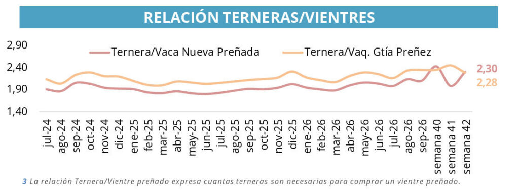 Terneras, Vientres