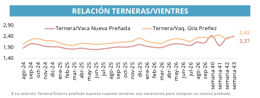 Vientres